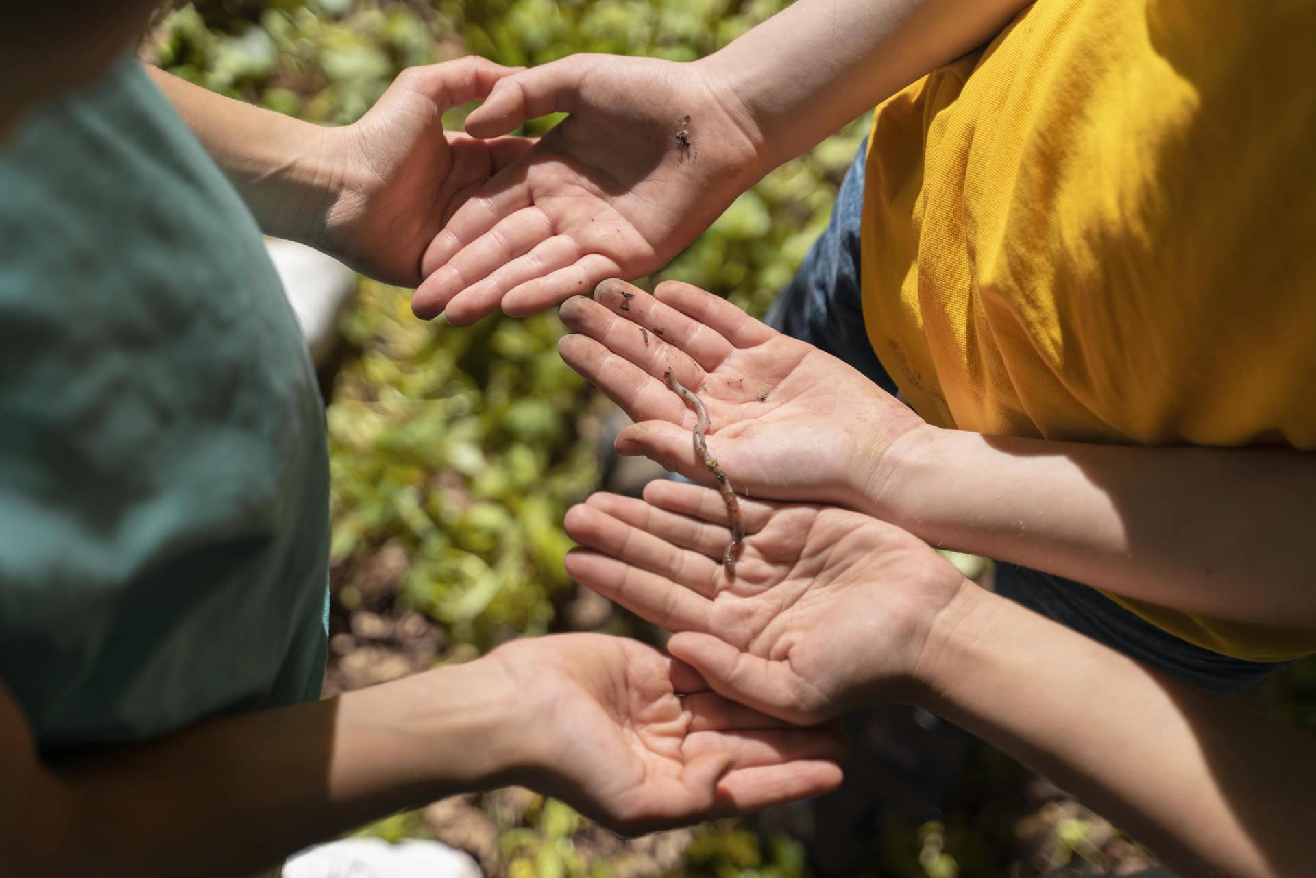 LIFE Jugendhilfe: Individuelle Förderung für starke Persönlichkeiten